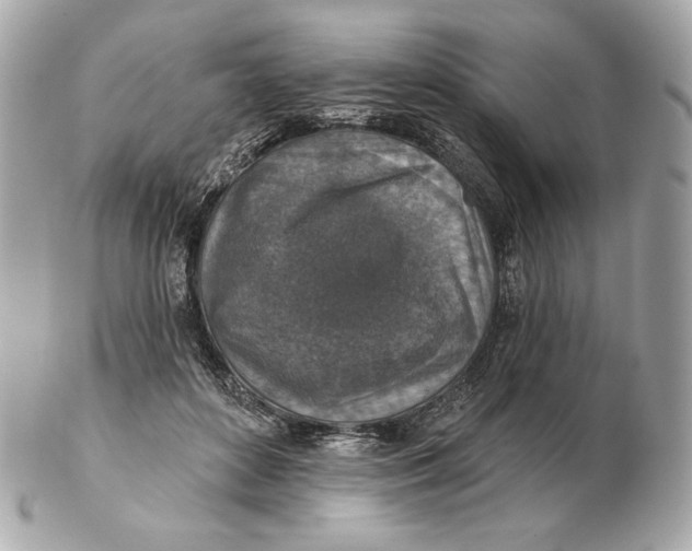 X0000102500504200808291714