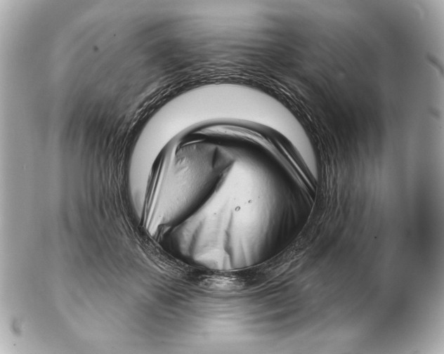 X0000102500507200808291714