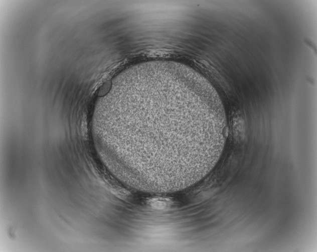 X0000102500508200808291714