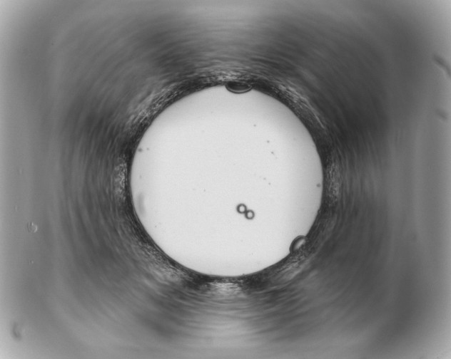 X0000102500509200808291714