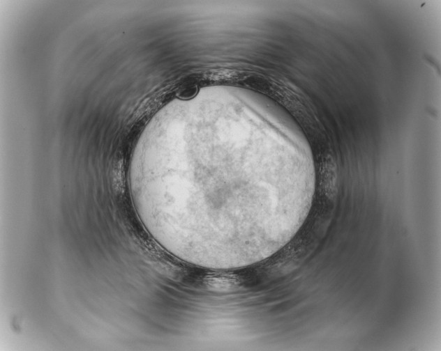 X0000102500510200808291714