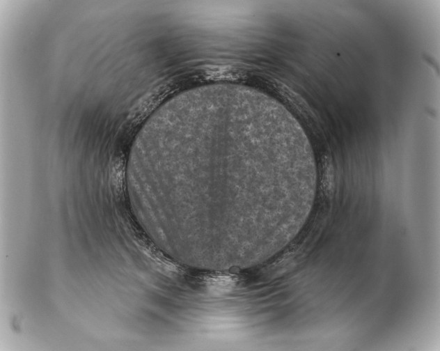 X0000102500513200808291714