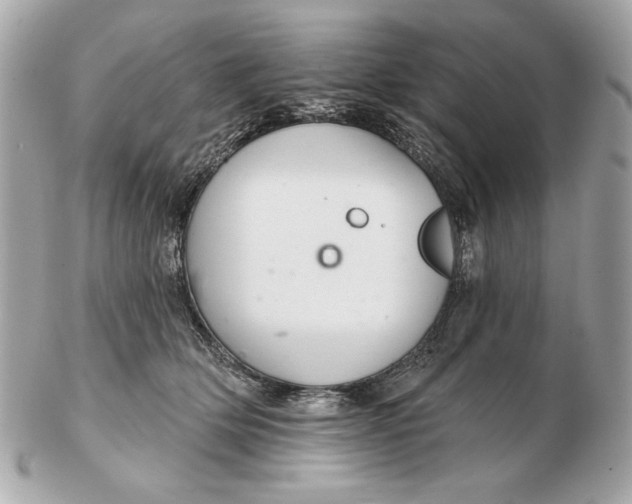 X0000102500514200808291714