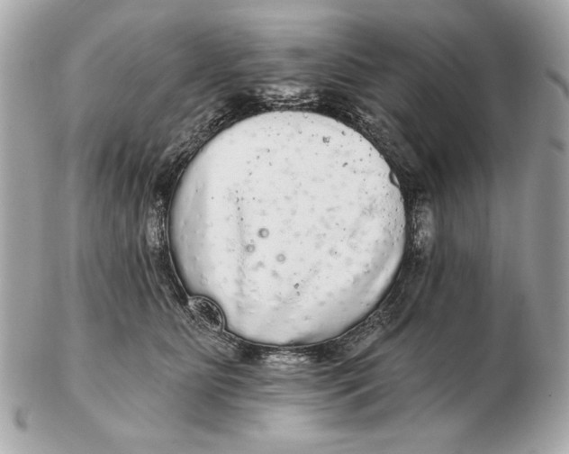 X0000102500515200808291714