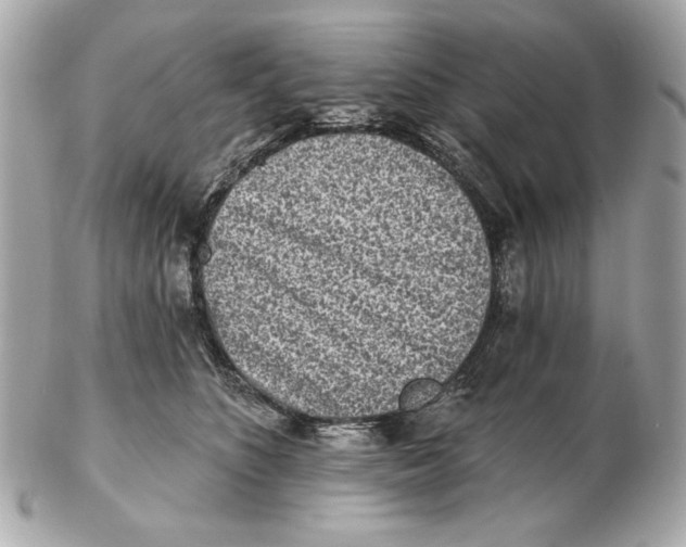 X0000102500516200808291714