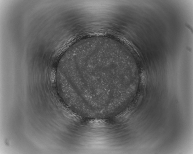 X0000102500517200808291714