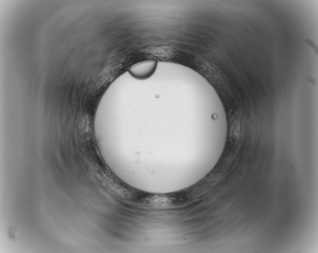 X0000102500518200808291714