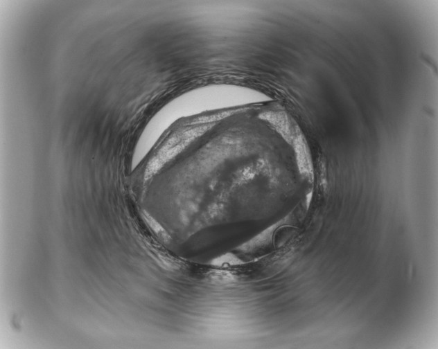 X0000102500519200808291714