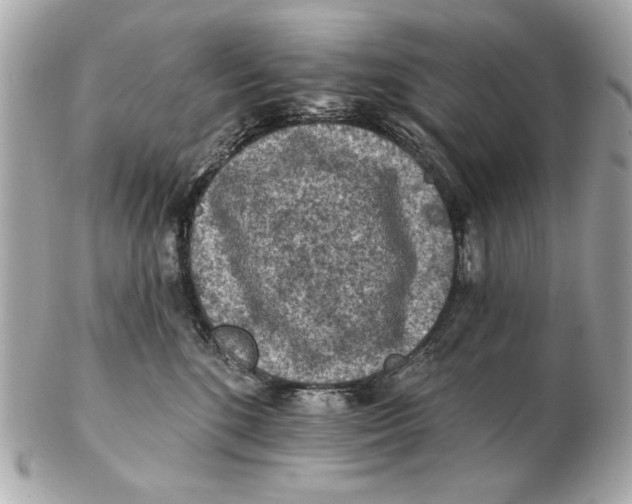 X0000102500520200808291714