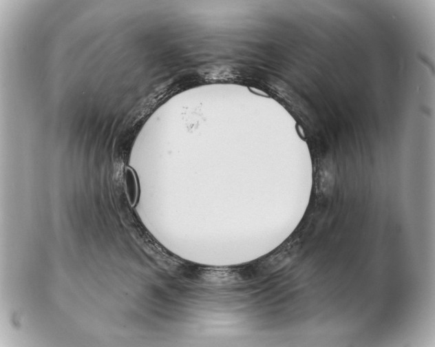 X0000102500521200808291714