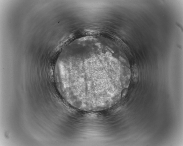 X0000102500523200808291714