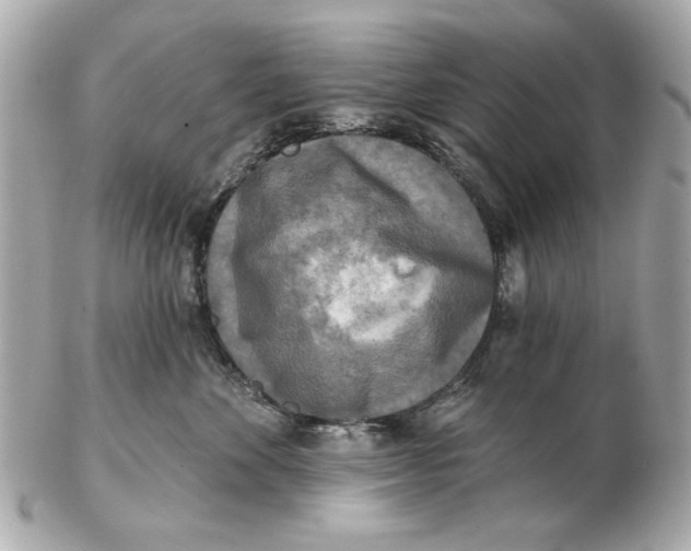 X0000102500524200808291714