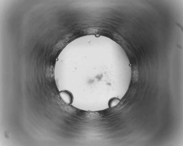 X0000102500525200808291714