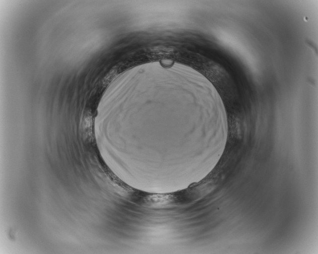 X0000102500526200808291714