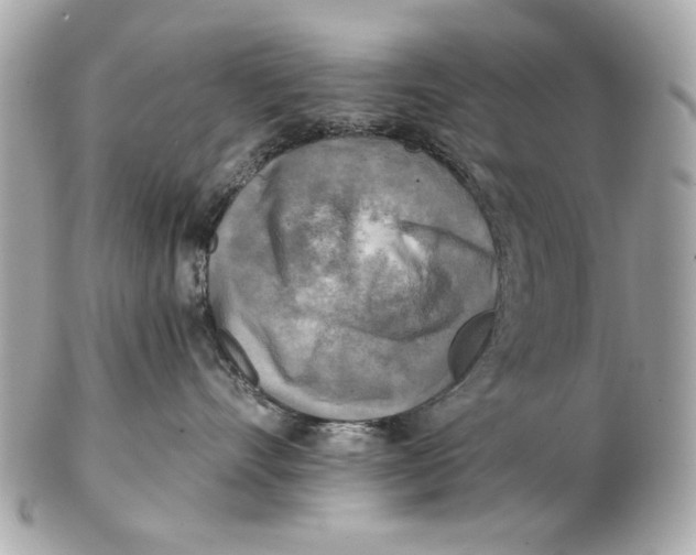 X0000102500528200808291714