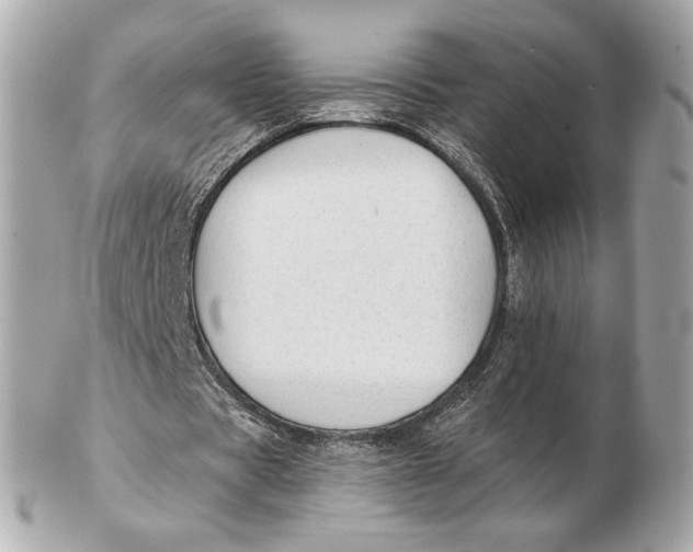 X0000102500529200808291713