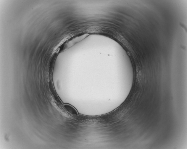 X0000102500530200808291713