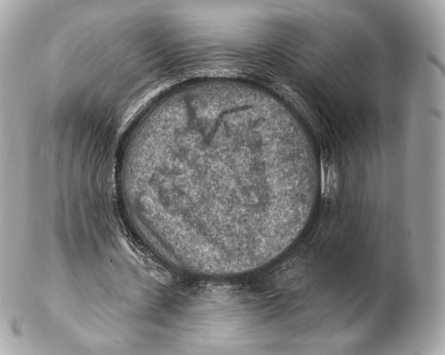 X0000102500531200808291713