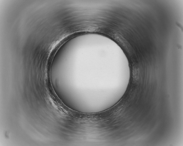 X0000102500532200808291713