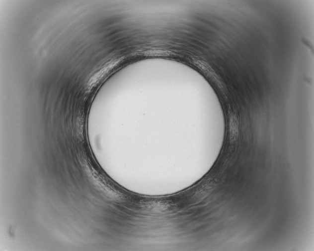 X0000102500533200808291713