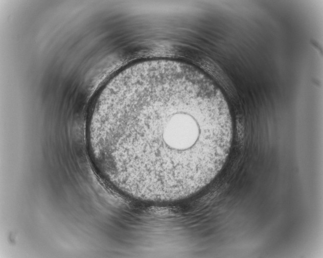 X0000102500534200808291713