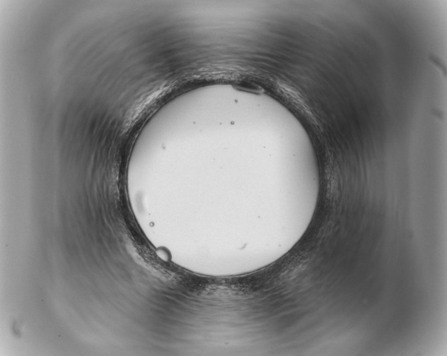 X0000102500538200808291713