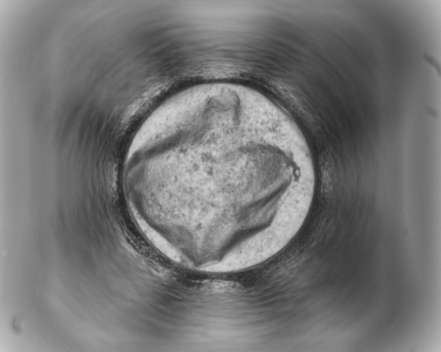 X0000102500539200808291713