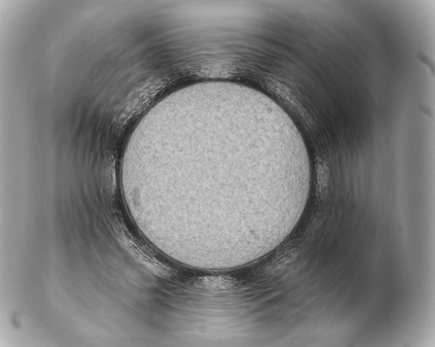 X0000102500541200808291714