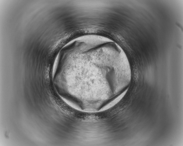 X0000102500543200808291714