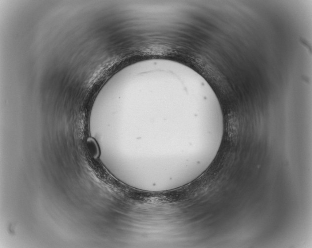 X0000102500544200808291714