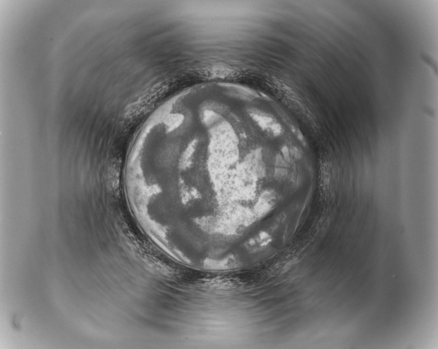 X0000102500545200808291714