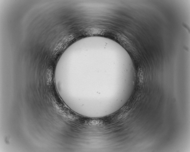 X0000102500546200808291714