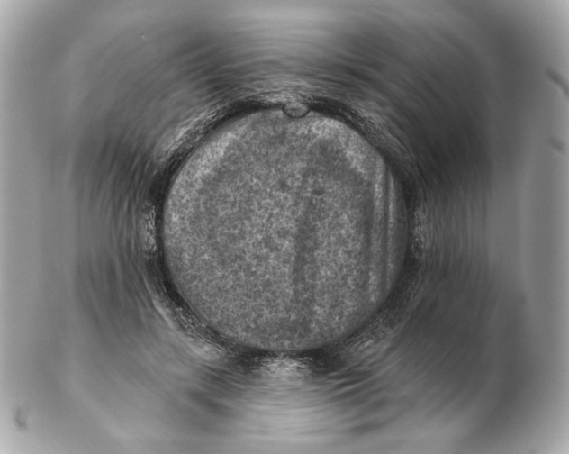 X0000102500547200808291714