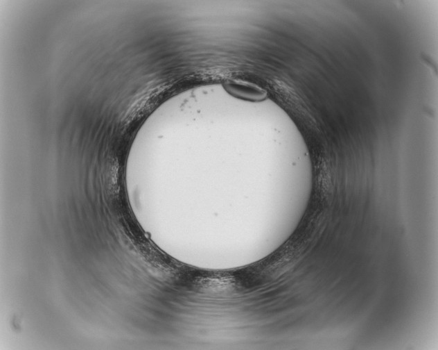 X0000102500548200808291714