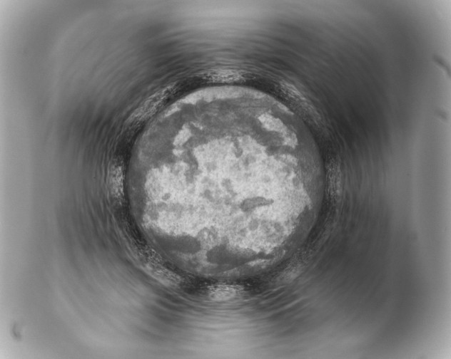 X0000102500549200808291714