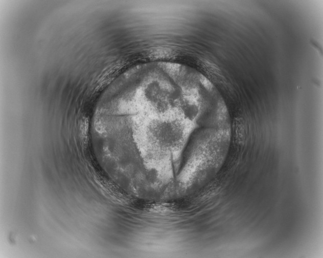 X0000102500550200808291714