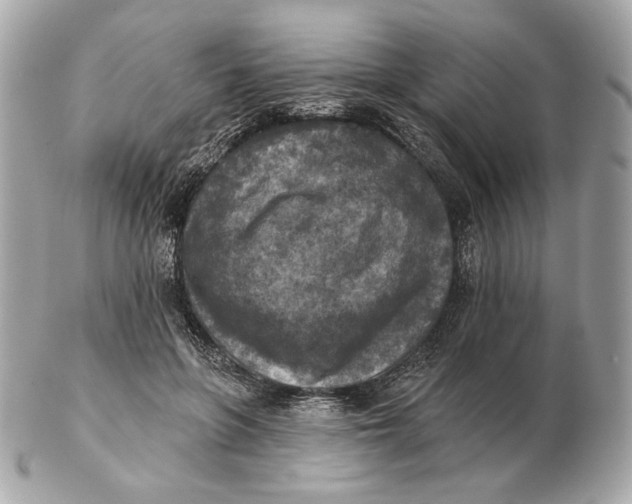 X0000102500551200808291714