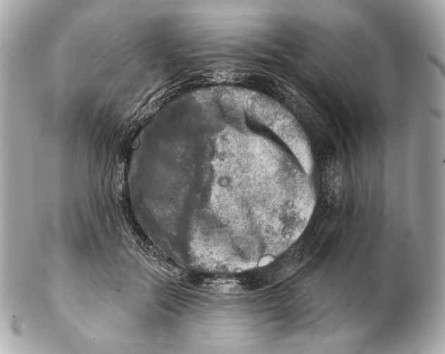 X0000102500554200808291714