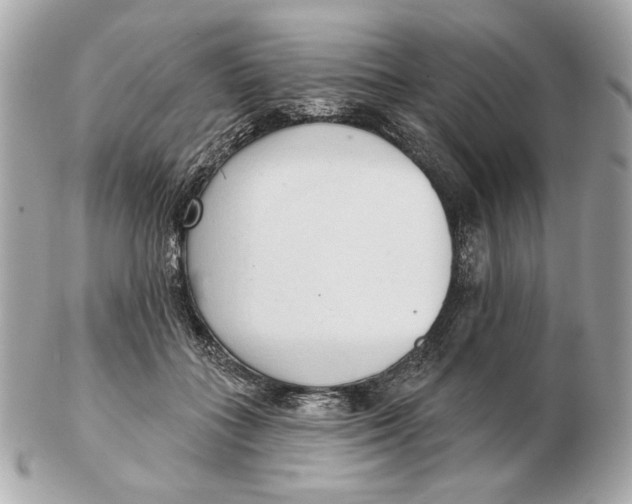 X0000102500555200808291714