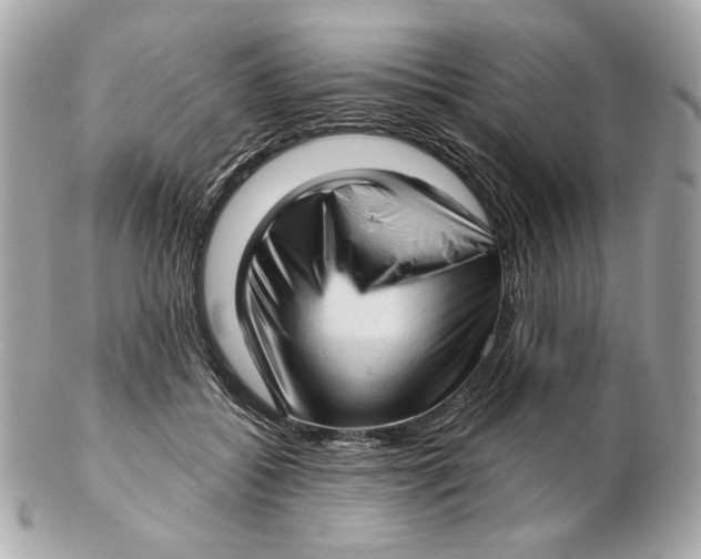 X0000102500556200808291714