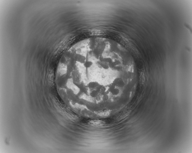 X0000102500557200808291714