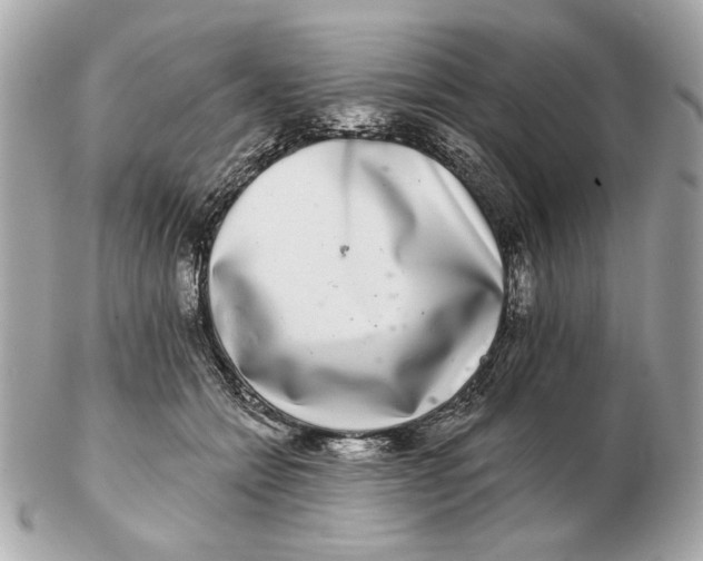 X0000102500558200808291714