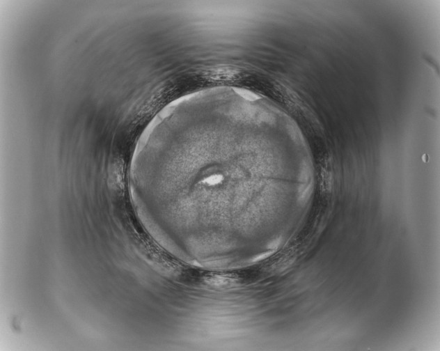 X0000102500561200808291714