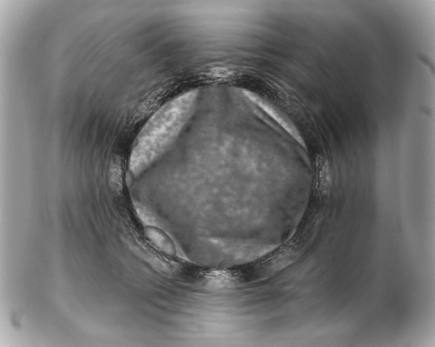 X0000102500562200808291714