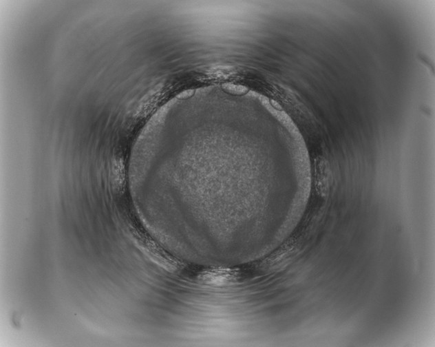 X0000102500563200808291714