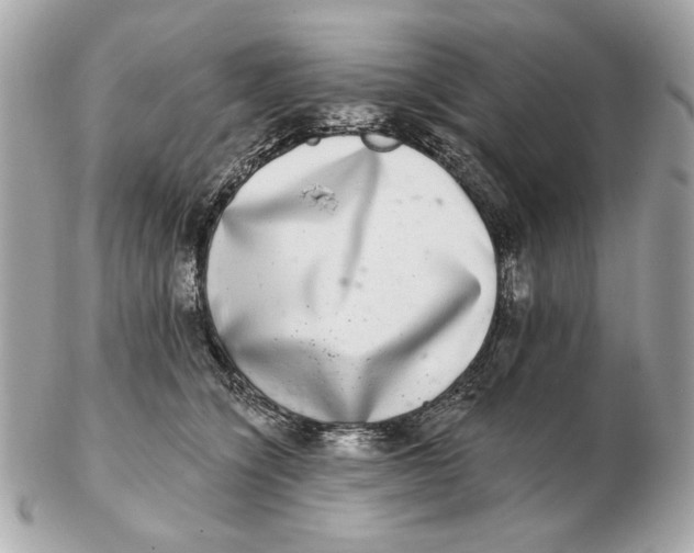 X0000102500564200808291714