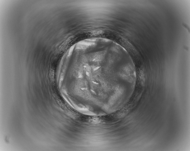 X0000102500565200808291714