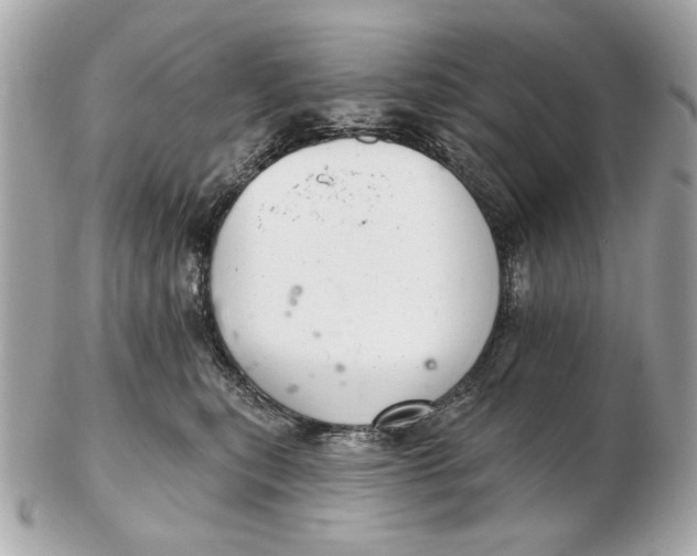 X0000102500567200808291714