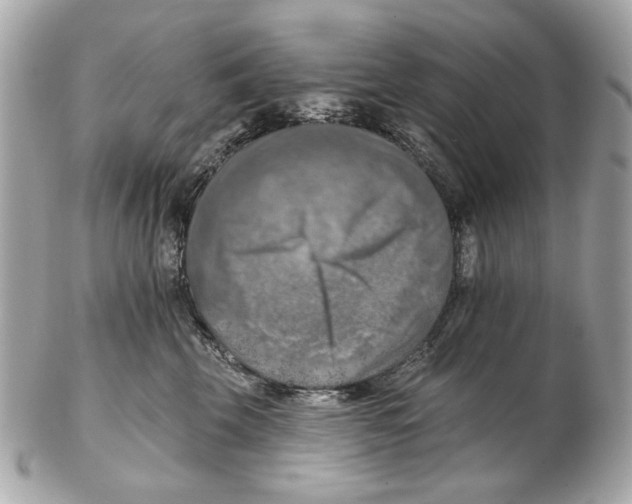 X0000102500569200808291714