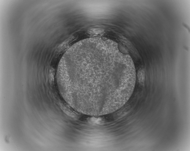 X0000102500570200808291714